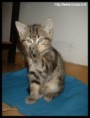 /album/camille/camille0007-jpg/