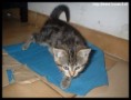/album/camille/camille0009-jpg/